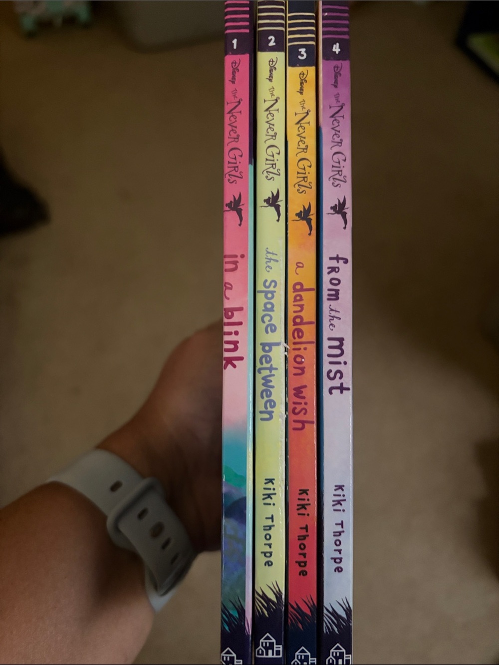 Never Girls Book Set - Books 1-4